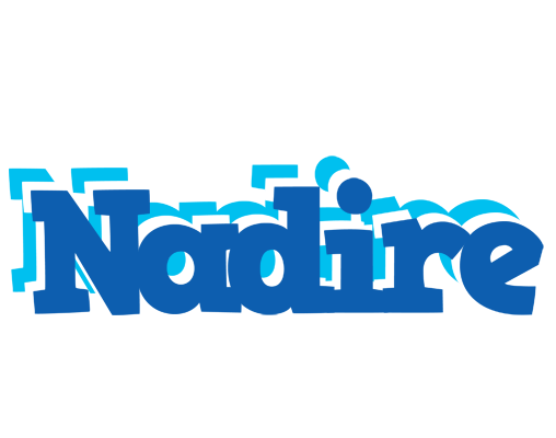 Nadire business logo