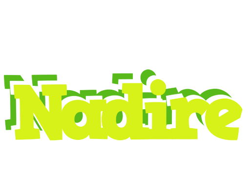 Nadire citrus logo