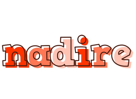 Nadire paint logo
