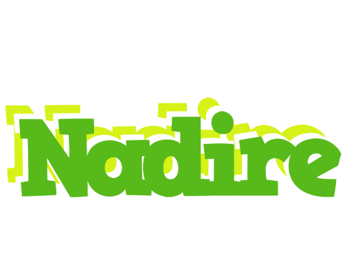 Nadire picnic logo