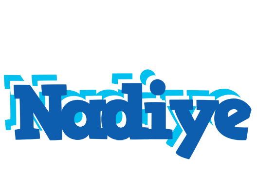 Nadiye business logo