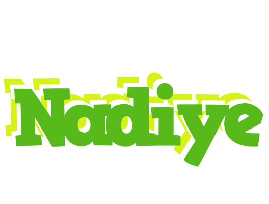 Nadiye picnic logo