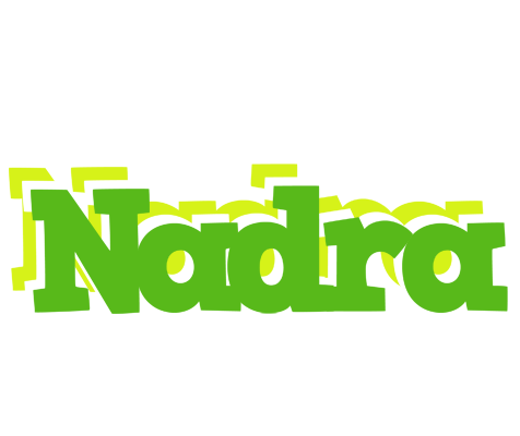 Nadra picnic logo