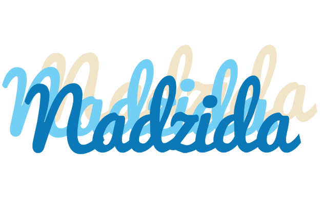 Nadzida breeze logo