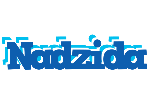 Nadzida business logo