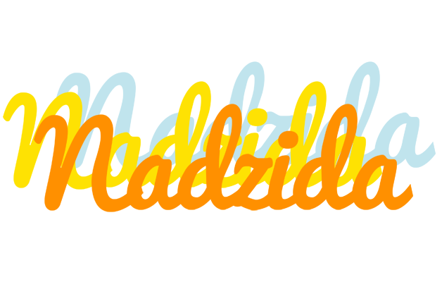 Nadzida energy logo