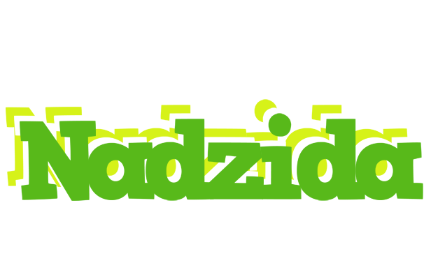 Nadzida picnic logo