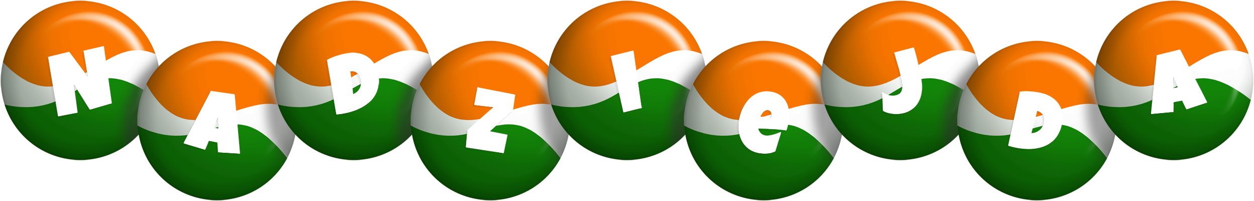 Nadziejda india logo