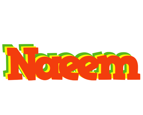 Naeem bbq logo