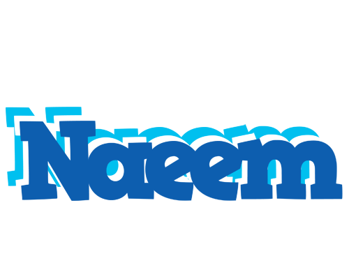 Naeem business logo