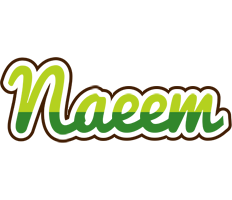 Naeem golfing logo