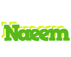 Naeem picnic logo