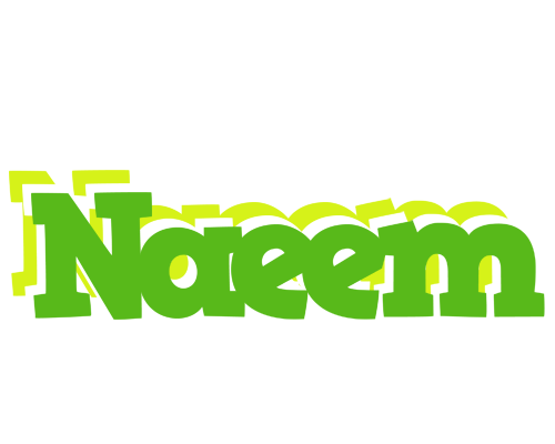 Naeem picnic logo