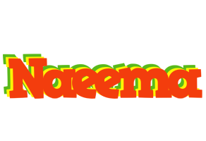 Naeema bbq logo