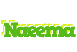 Naeema picnic logo