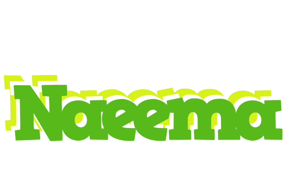 Naeema picnic logo