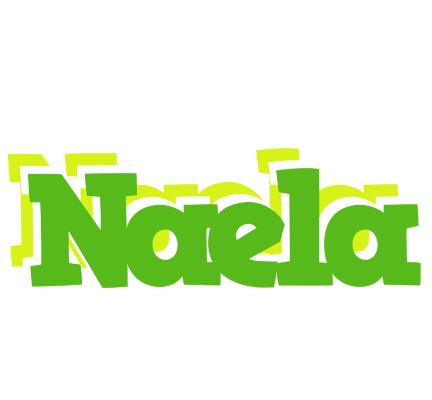 Naela picnic logo