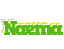 Naema picnic logo