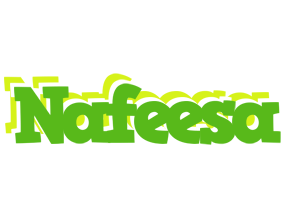 Nafeesa picnic logo