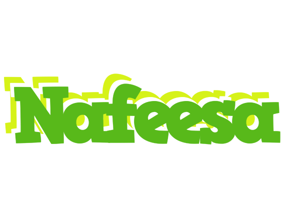 Nafeesa picnic logo