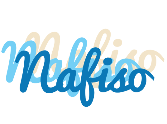 Nafiso breeze logo