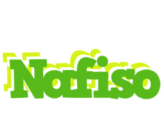 Nafiso picnic logo
