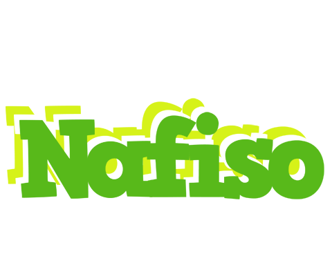 Nafiso picnic logo