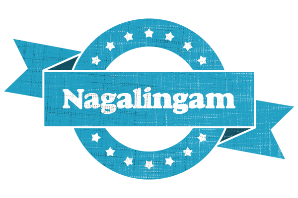 Nagalingam balance logo