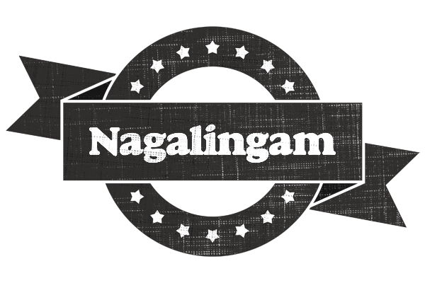 Nagalingam grunge logo