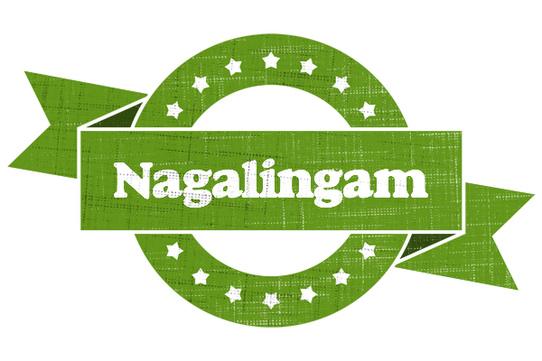 Nagalingam natural logo