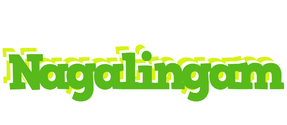 Nagalingam picnic logo