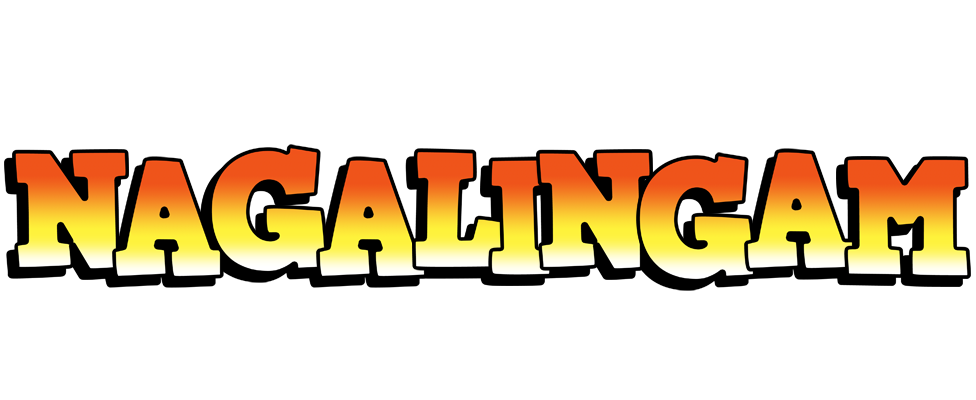 Nagalingam sunset logo