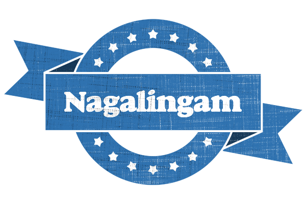 Nagalingam trust logo