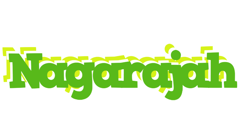 Nagarajah picnic logo