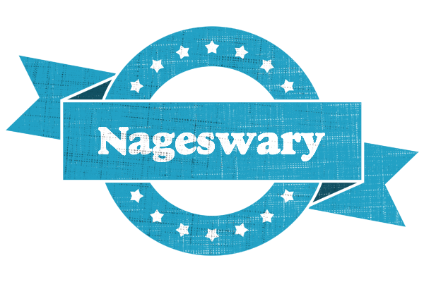 Nageswary balance logo