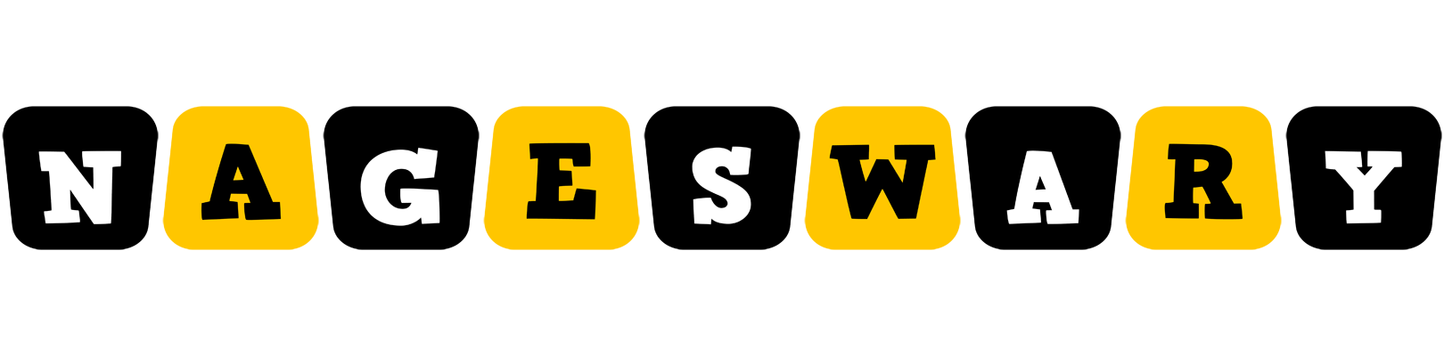 Nageswary boots logo