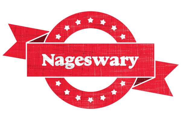 Nageswary passion logo