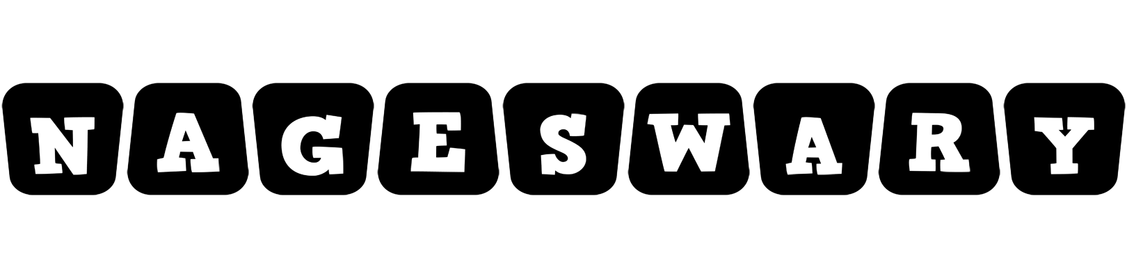 Nageswary racing logo