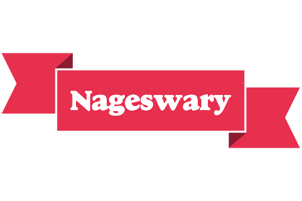 Nageswary sale logo