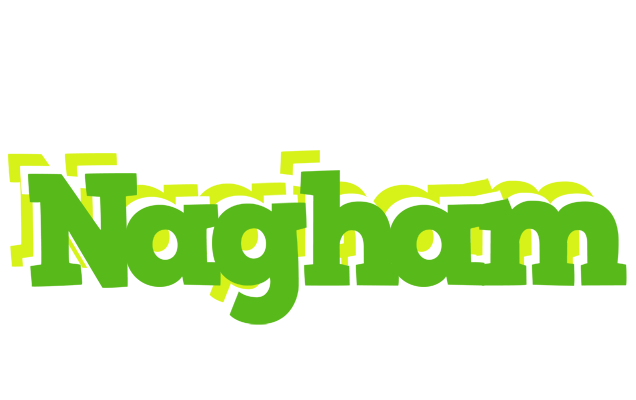 Nagham picnic logo