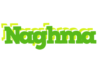 Naghma picnic logo