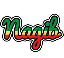 Nagib african logo