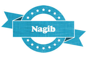 Nagib balance logo