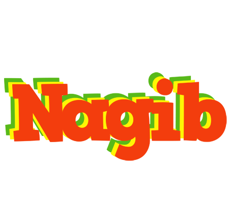 Nagib bbq logo