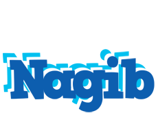 Nagib business logo