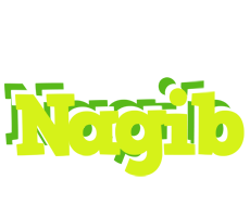 Nagib citrus logo