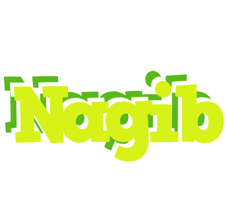 Nagib citrus logo
