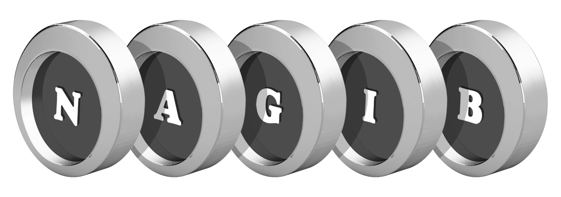 Nagib coins logo