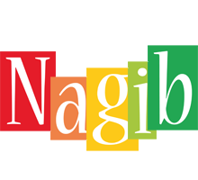 Nagib colors logo