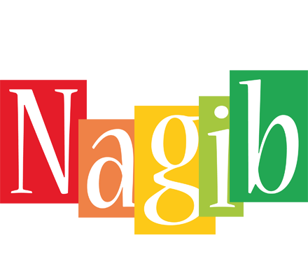 Nagib colors logo